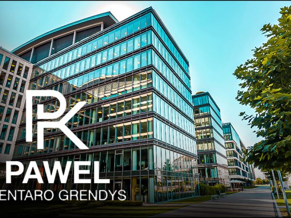 Pawel Kantero Grendys provides insights to maximize the returns on real estate business investments