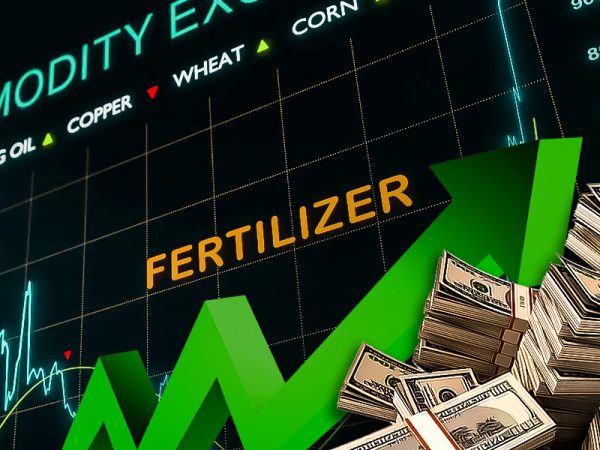 Bullish trend of fertilizer stocks in America!