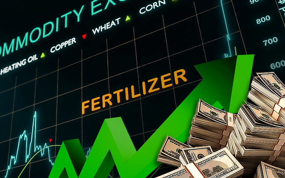 Bullish trend of fertilizer stocks in America!